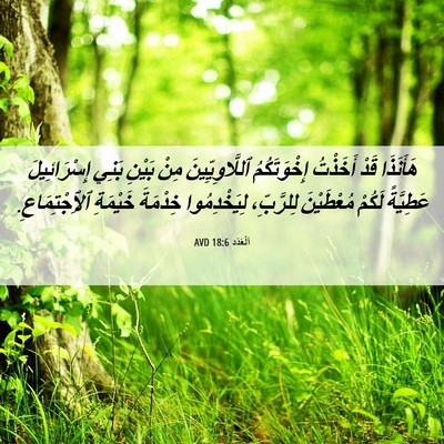 Picture 06 - اَلْعَدَد 18:6 AVD - هَأَنَذَا قَدْ أَخَذْتُ - Bible Verse Picture