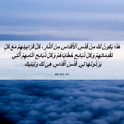 Picture 06 - اَلْعَدَد 18:9 AVD - هَذَا يَكُونُ لَكَ مِنْ - Bible Verse Picture
