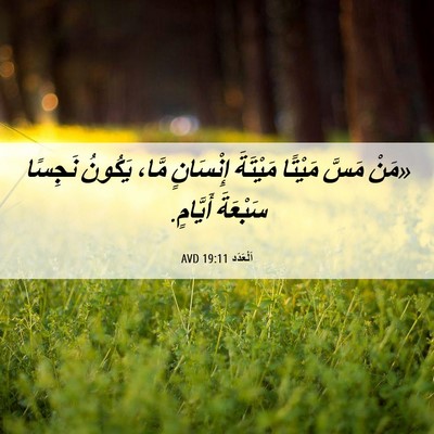 Picture 06 - اَلْعَدَد 19:11 AVD - «مَنْ مَسَّ مَيْتًا - Bible Verse Picture