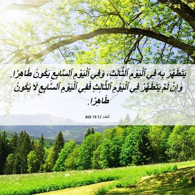 Picture 06 - اَلْعَدَد 19:12 AVD - يَتَطَهَّرُ بِهِ فِي - Bible Verse Picture