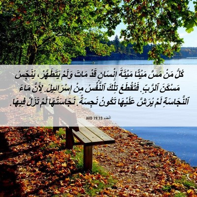 Picture 06 - اَلْعَدَد 19:13 AVD - كُلُّ مَنْ مَسَّ مَيْتًا - Bible Verse Picture