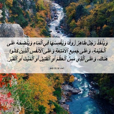 Picture 06 - اَلْعَدَد 19:18 AVD - وَيَأْخُذُ رَجُلٌ طَاهِرٌ - Bible Verse Picture