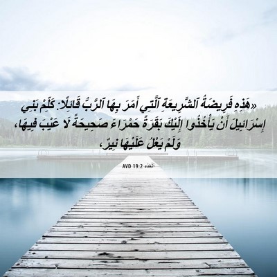 Picture 06 - اَلْعَدَد 19:2 AVD - «هَذِهِ فَرِيضَةُ - Bible Verse Picture