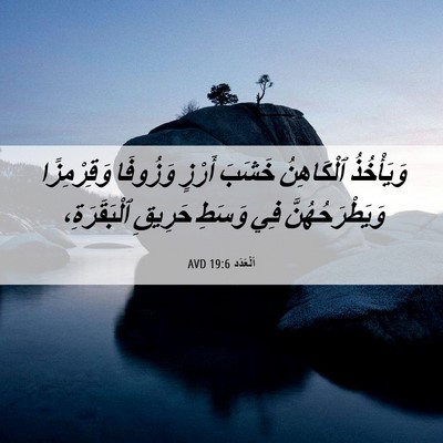 Picture 06 - اَلْعَدَد 19:6 AVD - وَيَأْخُذُ ٱلْكَاهِنُ - Bible Verse Picture
