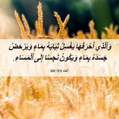 Picture 06 - اَلْعَدَد 19:8 AVD - وَٱلَّذِي أَحْرَقَهَا - Bible Verse Picture