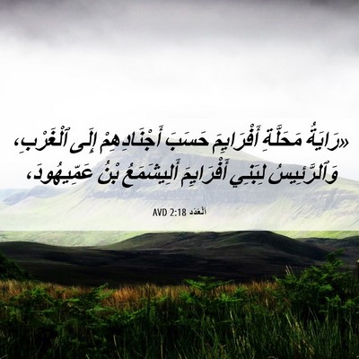 Picture 06 - اَلْعَدَد 2:18 AVD - «رَايَةُ مَحَلَّةِ - Bible Verse Picture