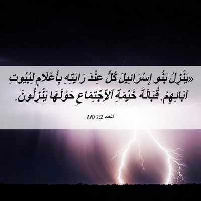 Picture 06 - اَلْعَدَد 2:2 AVD - «يَنْزِلُ بَنُو - Bible Verse Picture