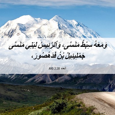 Picture 06 - اَلْعَدَد 2:20 AVD - وَمَعَهُ سِبْطُ مَنَسَّى، - Bible Verse Picture