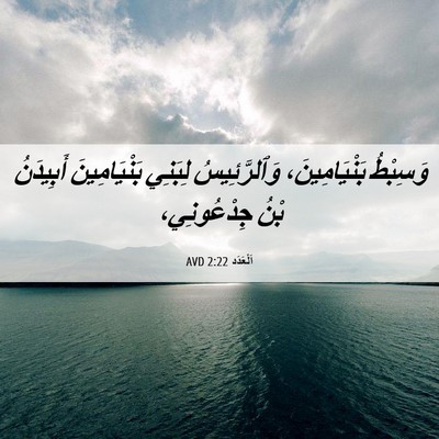 Picture 06 - اَلْعَدَد 2:22 AVD - وَسِبْطُ بَنْيَامِينَ، - Bible Verse Picture