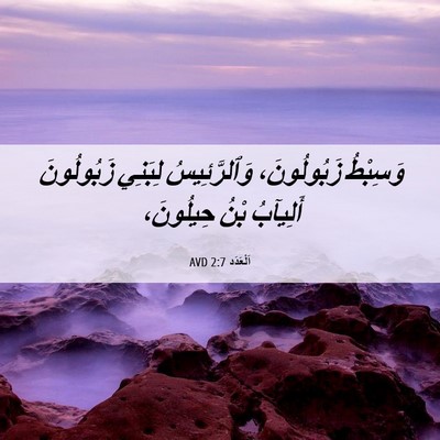 Picture 06 - اَلْعَدَد 2:7 AVD - وَسِبْطُ زَبُولُونَ، - Bible Verse Picture