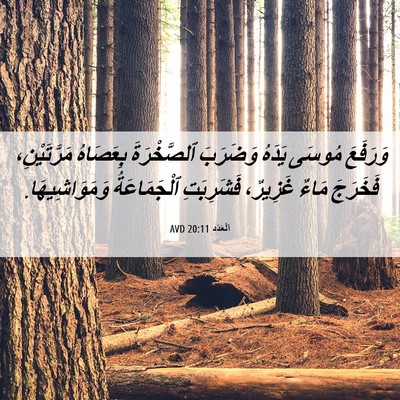 Picture 06 - اَلْعَدَد 20:11 AVD - وَرَفَعَ مُوسَى يَدَهُ - Bible Verse Picture