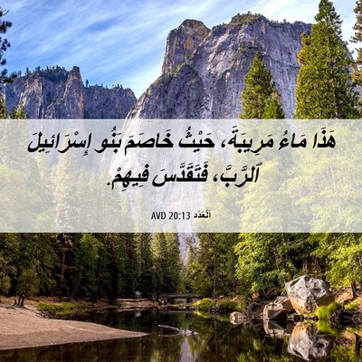 Picture 06 - اَلْعَدَد 20:13 AVD - هَذَا مَاءُ مَرِيبَةَ، - Bible Verse Picture