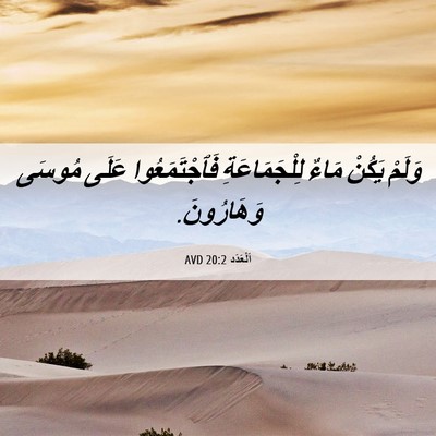 Picture 06 - اَلْعَدَد 20:2 AVD - وَلَمْ يَكُنْ مَاءٌ - Bible Verse Picture