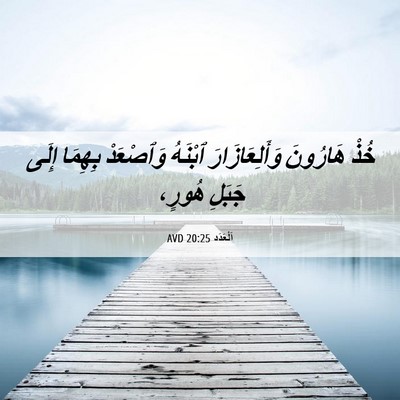 Picture 06 - اَلْعَدَد 20:25 AVD - خُذْ هَارُونَ - Bible Verse Picture