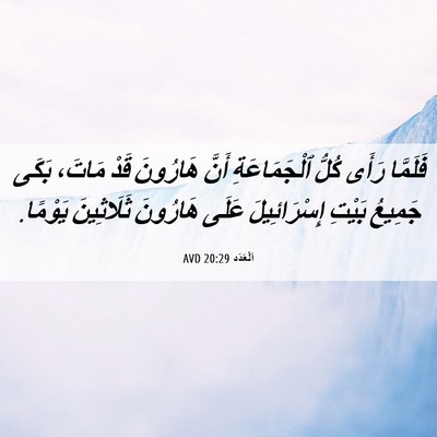 Picture 06 - اَلْعَدَد 20:29 AVD - فَلَمَّا رَأَى كُلُّ - Bible Verse Picture
