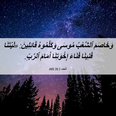 Picture 06 - اَلْعَدَد 20:3 AVD - وَخَاصَمَ ٱلشَّعْبُ - Bible Verse Picture