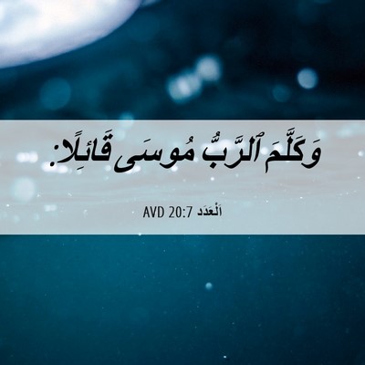 Picture 06 - اَلْعَدَد 20:7 AVD - وَكَلَّمَ ٱلرَّبُّ مُوسَى - Bible Verse Picture