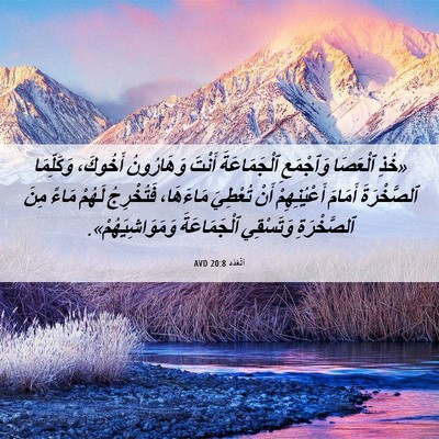 Picture 06 - اَلْعَدَد 20:8 AVD - «خُذِ ٱلْعَصَا وَٱجْمَعِ - Bible Verse Picture