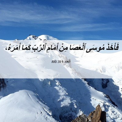 Picture 06 - اَلْعَدَد 20:9 AVD - فَأَخَذَ مُوسَى ٱلْعَصَا - Bible Verse Picture