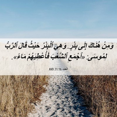 Picture 06 - اَلْعَدَد 21:16 AVD - وَمِنْ هُنَاكَ إِلَى - Bible Verse Picture