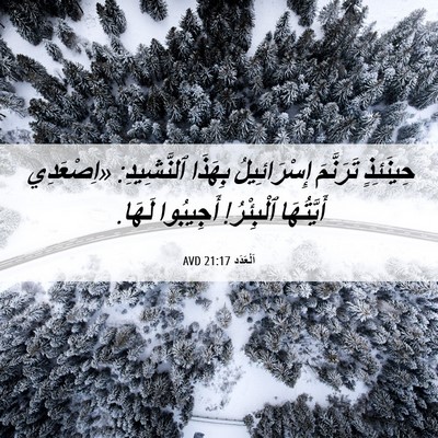 Picture 06 - اَلْعَدَد 21:17 AVD - حِينَئِذٍ تَرَنَّمَ - Bible Verse Picture