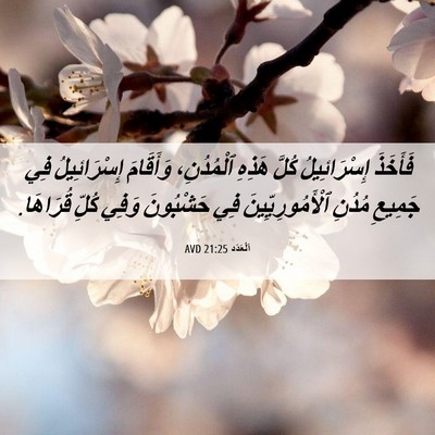 Picture 06 - اَلْعَدَد 21:25 AVD - فَأَخَذَ إِسْرَائِيلُ - Bible Verse Picture