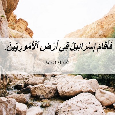 Picture 06 - اَلْعَدَد 21:31 AVD - فَأَقَامَ إِسْرَائِيلُ - Bible Verse Picture