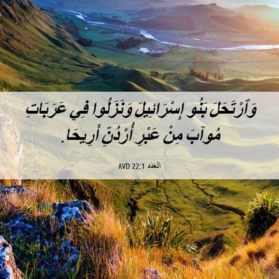 Picture 06 - اَلْعَدَد 22:1 AVD - وَٱرْتَحَلَ بَنُو - Bible Verse Picture
