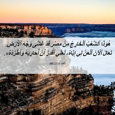 Picture 06 - اَلْعَدَد 22:11 AVD - هُوَذَا ٱلشَّعْبُ - Bible Verse Picture