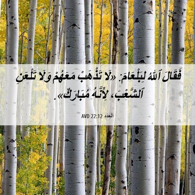 Picture 06 - اَلْعَدَد 22:12 AVD - فَقَالَ ٱللهُ لِبَلْعَامَ: - Bible Verse Picture