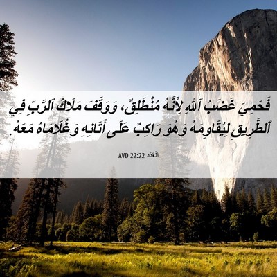 Picture 06 - اَلْعَدَد 22:22 AVD - فَحَمِيَ غَضَبُ ٱللهِ - Bible Verse Picture