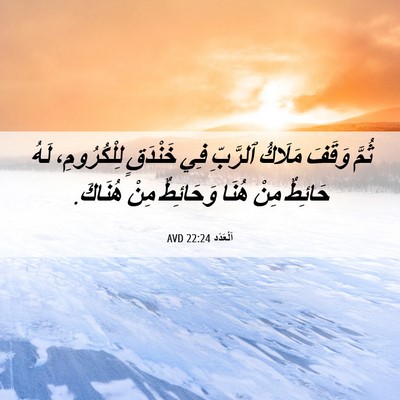 Picture 06 - اَلْعَدَد 22:24 AVD - ثُمَّ وَقَفَ مَلَاكُ - Bible Verse Picture