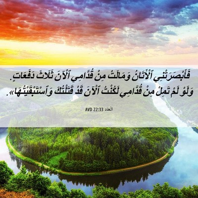 Picture 06 - اَلْعَدَد 22:33 AVD - فَأَبْصَرَتْنِي - Bible Verse Picture