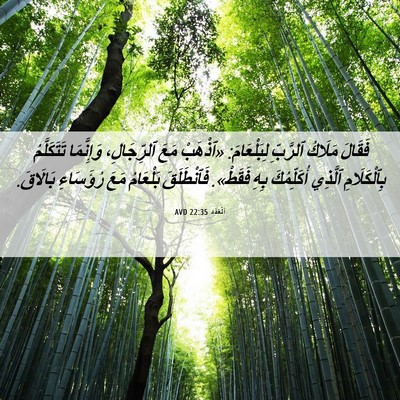 Picture 06 - اَلْعَدَد 22:35 AVD - فَقَالَ مَلَاكُ ٱلرَّبِّ - Bible Verse Picture