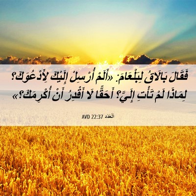 Picture 06 - اَلْعَدَد 22:37 AVD - فَقَالَ بَالَاقُ - Bible Verse Picture