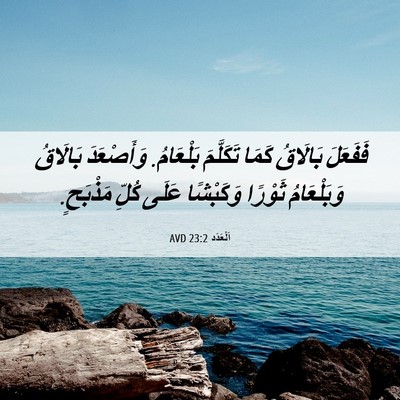 Picture 06 - اَلْعَدَد 23:2 AVD - فَفَعَلَ بَالَاقُ كَمَا - Bible Verse Picture