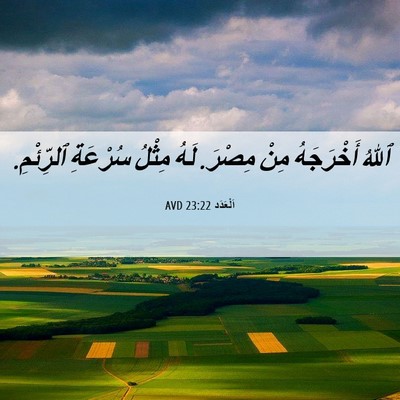 Picture 06 - اَلْعَدَد 23:22 AVD - ٱللهُ أَخْرَجَهُ مِنْ - Bible Verse Picture