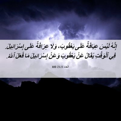 Picture 06 - اَلْعَدَد 23:23 AVD - إِنَّهُ لَيْسَ عِيَافَةٌ - Bible Verse Picture