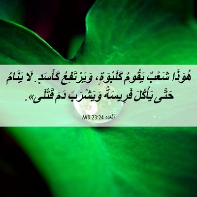 Picture 06 - اَلْعَدَد 23:24 AVD - هُوَذَا شَعْبٌ يَقُومُ - Bible Verse Picture