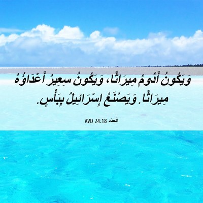 Picture 06 - اَلْعَدَد 24:18 AVD - وَيَكُونُ أَدُومُ - Bible Verse Picture