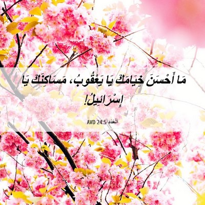 Picture 06 - اَلْعَدَد 24:5 AVD - مَا أَحْسَنَ خِيَامَكَ يَا - Bible Verse Picture