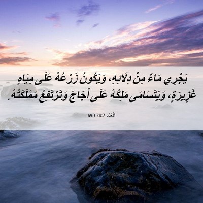 Picture 06 - اَلْعَدَد 24:7 AVD - يَجْرِي مَاءٌ مِنْ - Bible Verse Picture