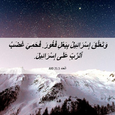 Picture 06 - اَلْعَدَد 25:3 AVD - وَتَعَلَّقَ إِسْرَائِيلُ - Bible Verse Picture