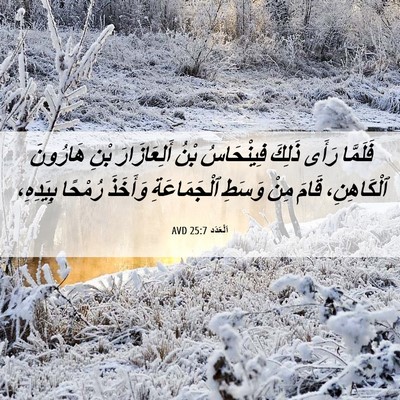 Picture 06 - اَلْعَدَد 25:7 AVD - فَلَمَّا رَأَى ذَلِكَ - Bible Verse Picture