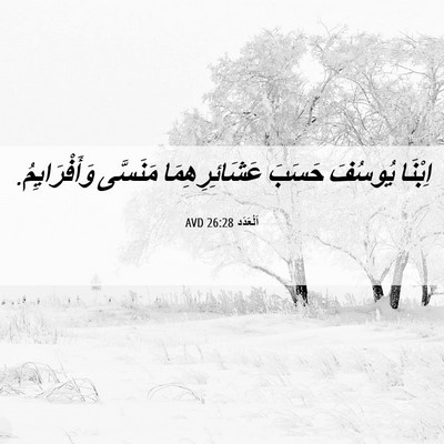 Picture 06 - اَلْعَدَد 26:28 AVD - اِبْنَا يُوسُفَ حَسَبَ - Bible Verse Picture