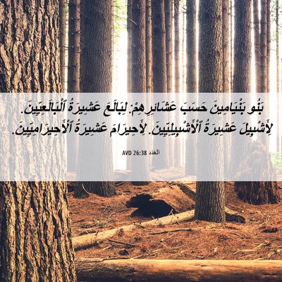 Picture 06 - اَلْعَدَد 26:38 AVD - بَنُو بَنْيَامِينَ حَسَبَ - Bible Verse Picture