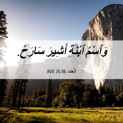 Picture 06 - اَلْعَدَد 26:46 AVD - وَٱسْمُ ٱبْنَةِ أَشِيرَ - Bible Verse Picture