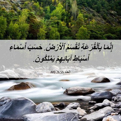 Picture 06 - اَلْعَدَد 26:55 AVD - إِنَّمَا بِٱلْقُرْعَةِ - Bible Verse Picture