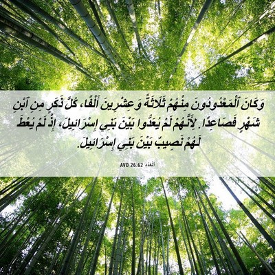 Picture 06 - اَلْعَدَد 26:62 AVD - وَكَانَ ٱلْمَعْدُودُونَ - Bible Verse Picture