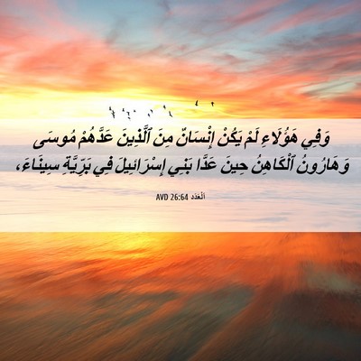 Picture 06 - اَلْعَدَد 26:64 AVD - وَفِي هَؤُلَاءِ لَمْ - Bible Verse Picture